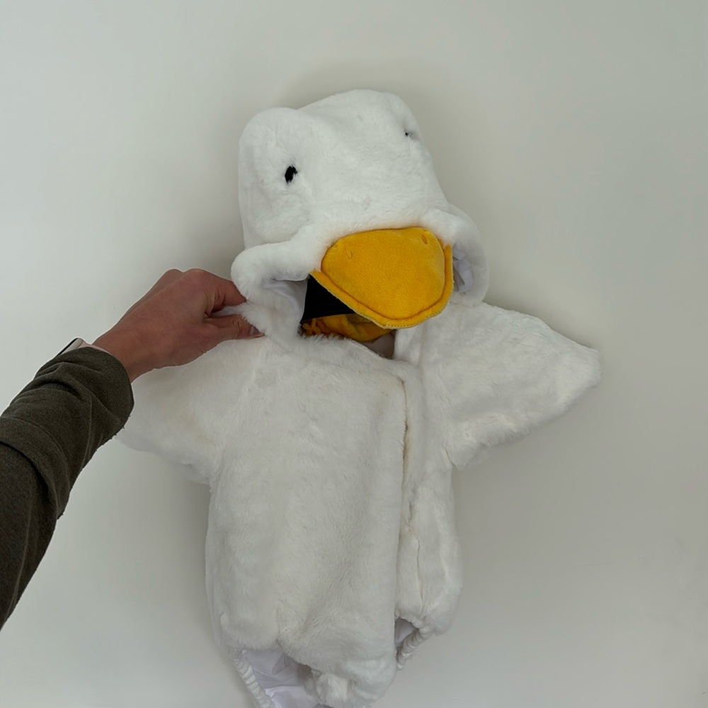 Pottery Barn Kids duck costume. 0-6 month size, like new condition.